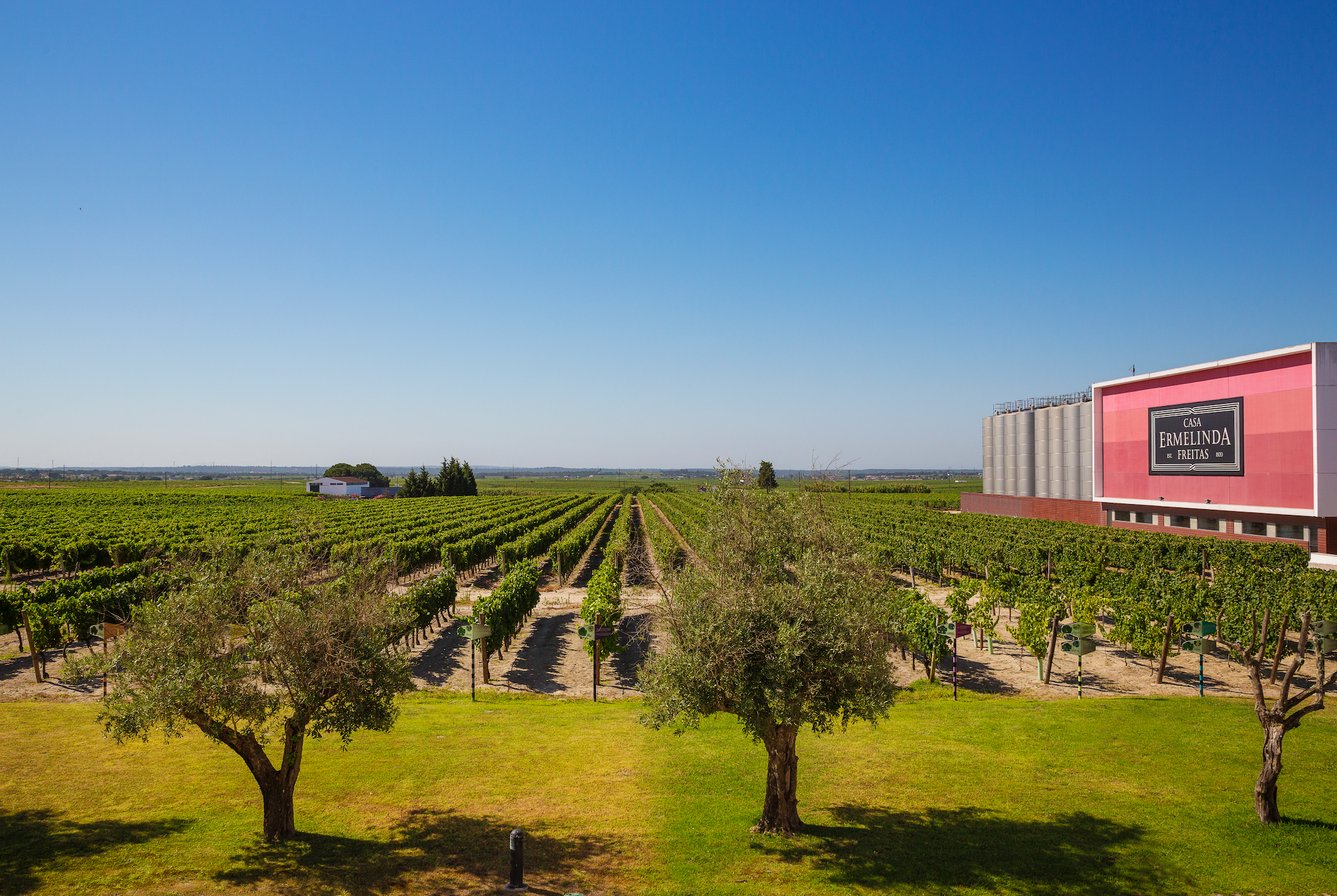 Casa Ermelinda Freitas