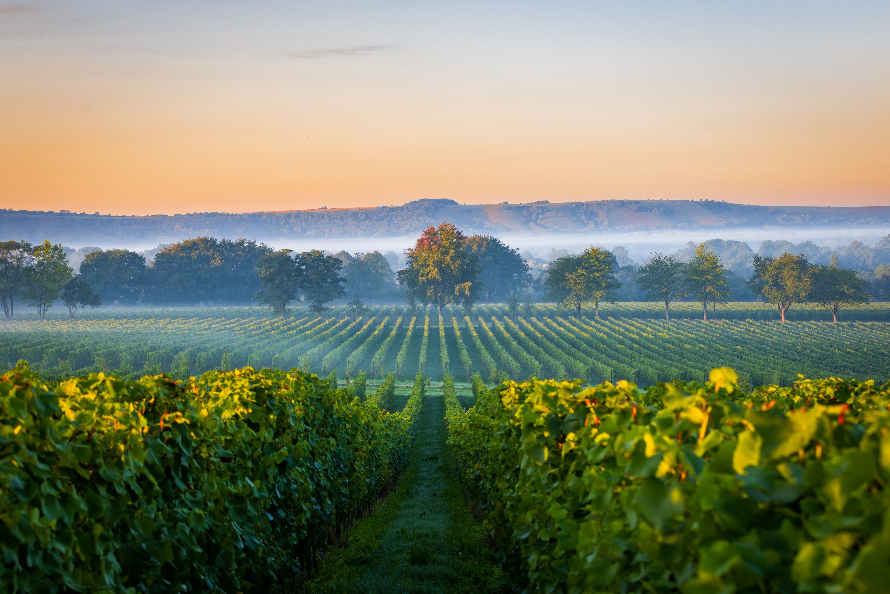 Nyetimber