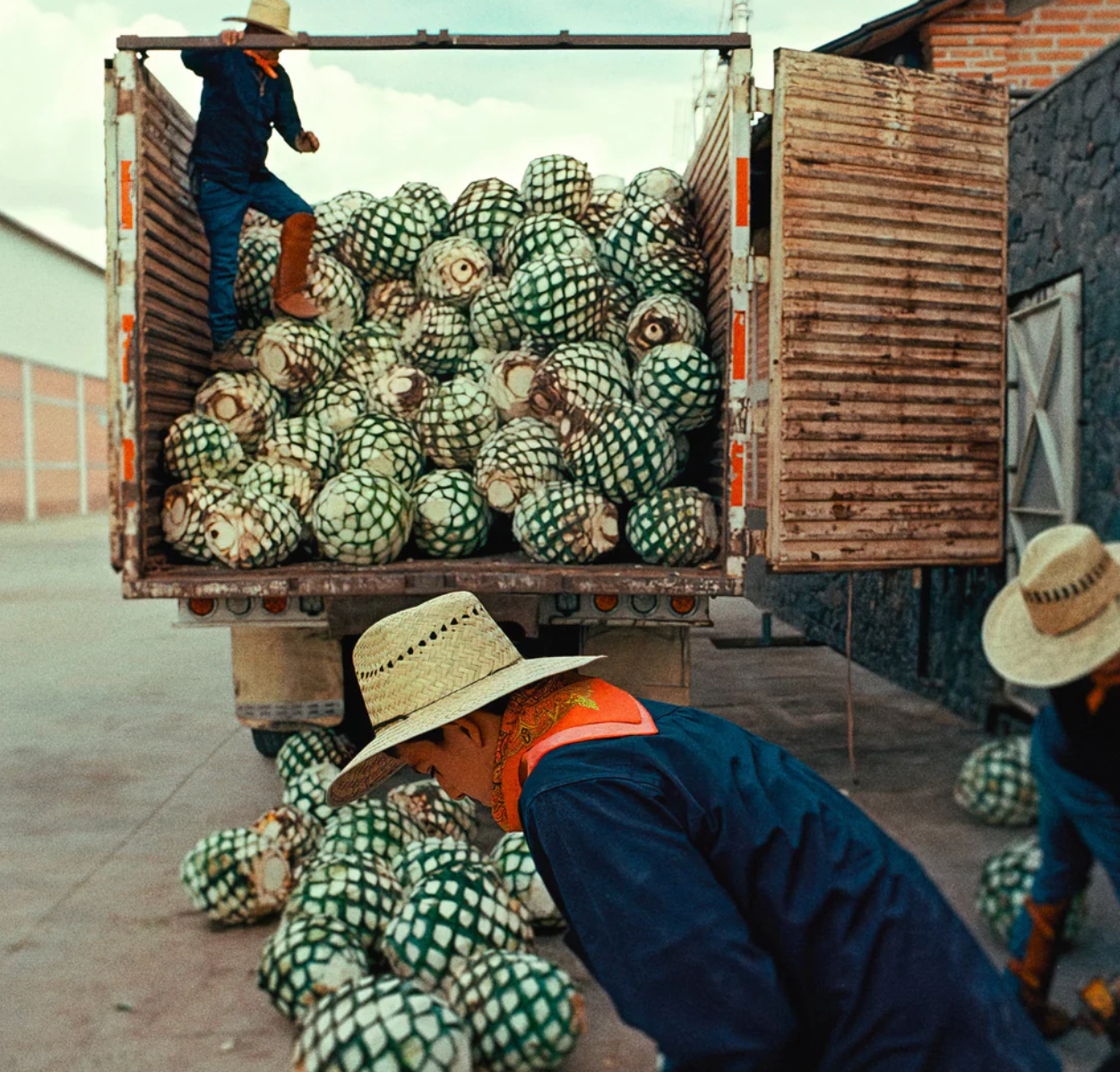 Almave Non-Alcoholic Blue Agave Spirits