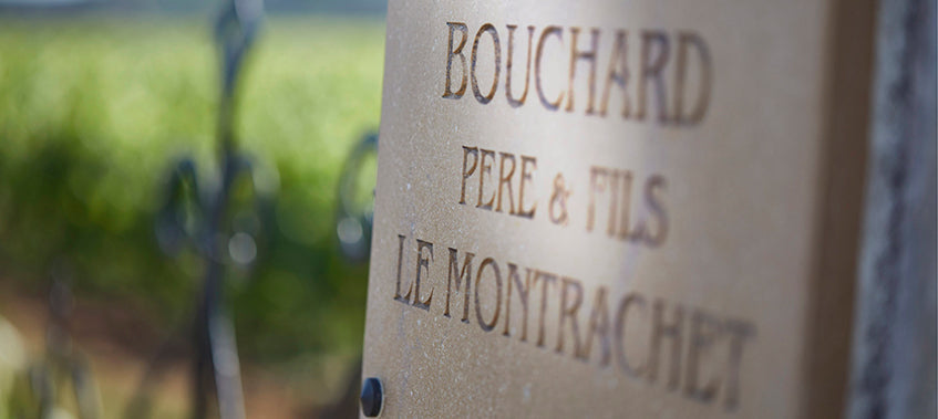 Bouchard Père & Fils