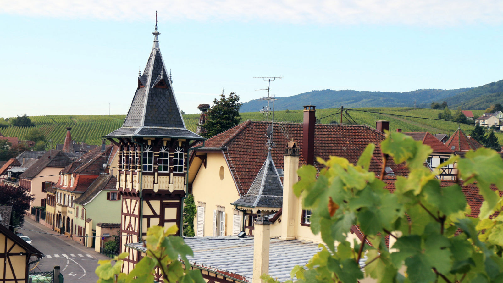 Maison Trimbach